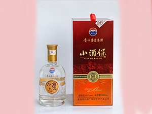贵州茅台酒厂（集团）技术开发公司小酒保