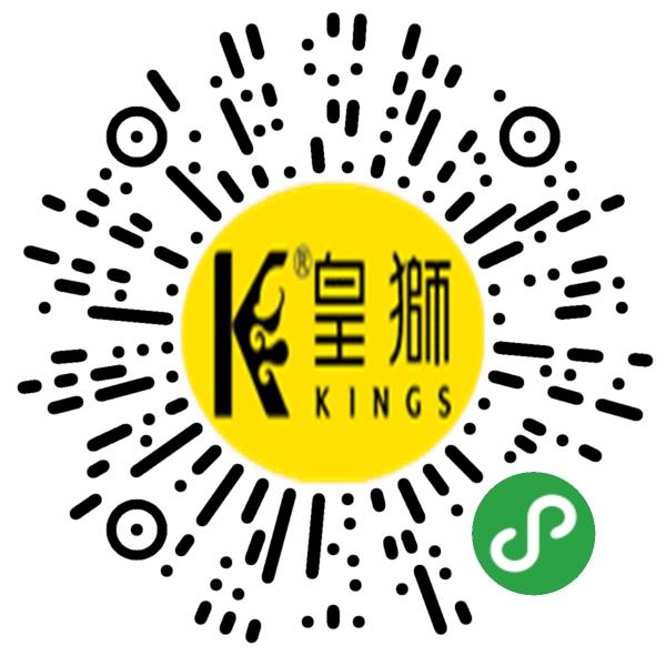深圳市皇狮品牌设计有限公司微信小程序主页